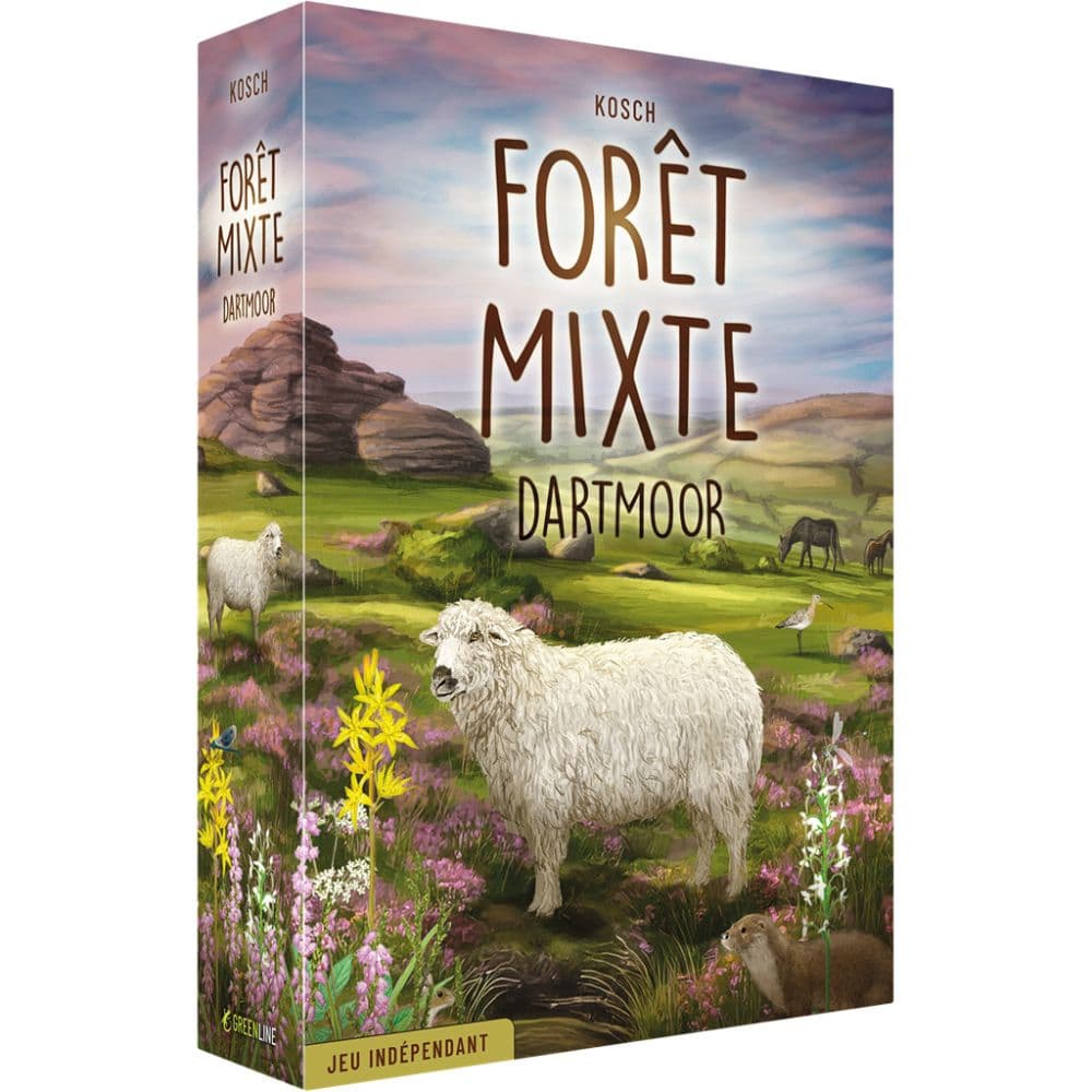 FORET MIXTE DARTMOOR